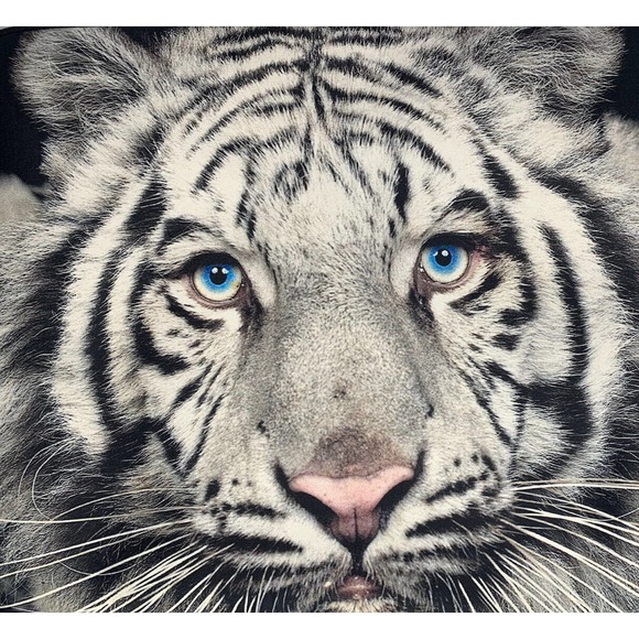 Designer Skins Sleeves White Tiger Zip Top Laptop Case Cover 17" - Picture 2 of 7